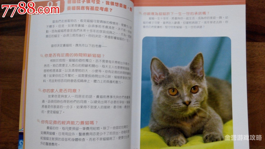 探索电视剧的世界，从经典到现代的全方位指南在线观看电视剧的网站