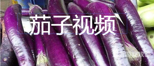 第1681页