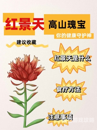 国产精品久久艾草，传统与现代的健康守护神