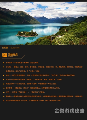 探索亚洲、欧洲与日本文化精品，无广告的纯净之旅