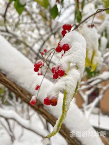 初雪影院畅享影视盛宴，初雪影院，免费追剧的优质选择