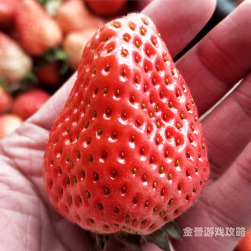 精品久久久久久久一区二区，探索与发现