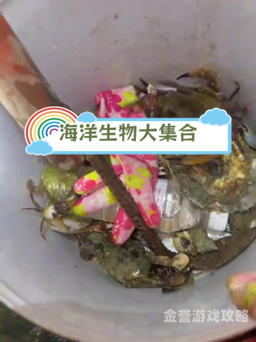 探索大全，知识海洋中的宝藏地图大全能源