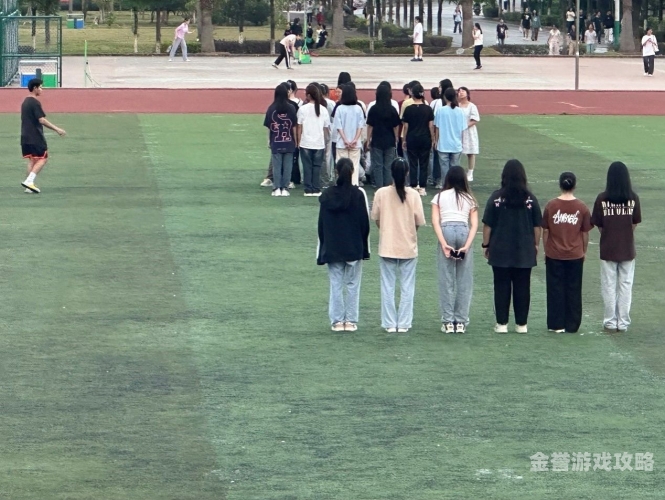 少女动漫，梦幻与美好的青春之旅少女动漫在线高清免费观看第二集