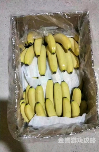 亚洲香蕉久久一区探秘亚洲香蕉的种植奥秘与文化韵味