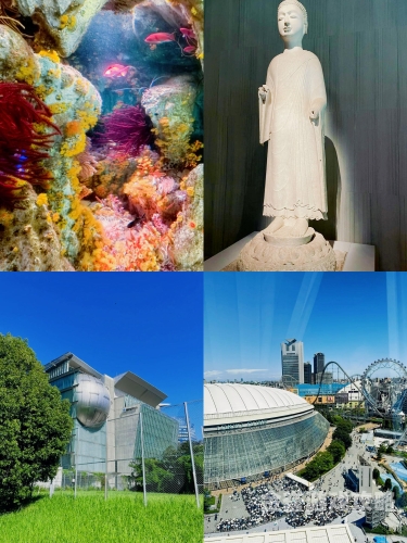 日本文化的独特魅力，艺术与传统的完美融合