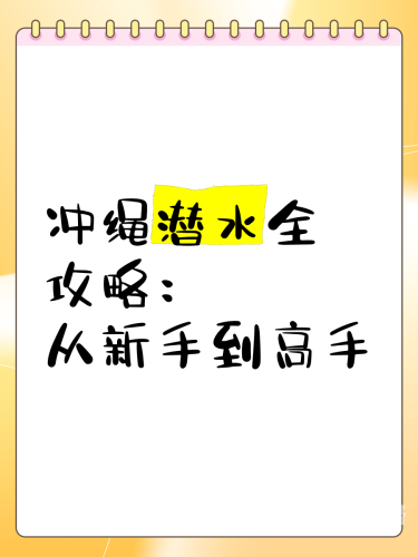 中文版安装中文版软件安装全攻略，从新手到高手的必备指南