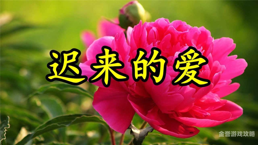 真实国产精品视频400部国产精品视频的璀璨世界