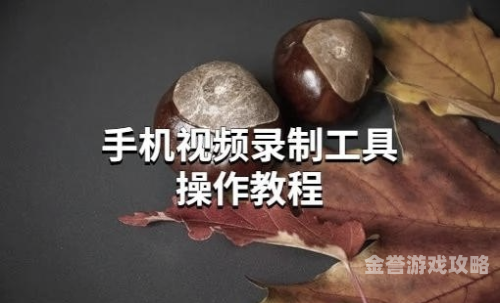 久久久精品视频直接观看，探索高质量视频内容的便捷途径