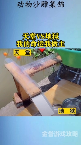 第964页