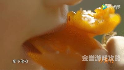 色欲A片无码精品竹菊影院，揭秘影视娱乐新风尚