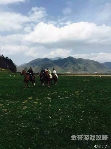无码视频专区的崛起与影响