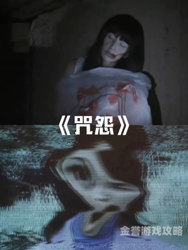 日韩亚洲精品在线观看，探索多元文化下的影视新风潮