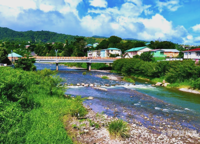 加勒比精品综合在线，探索海岛风情与多元文化之旅加勒比精品综合在线手机观看播放