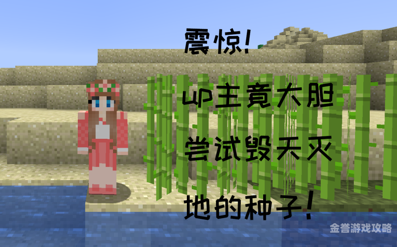 探索中文字幕在线一级AV片的世界