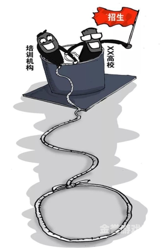 亚洲精品国产乱象揭秘
