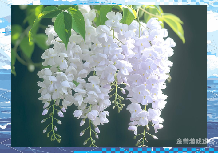 丁香花开，新闻资讯不断久久综合五月丁香六月丁香_天天做天天爱夜夜爽导航.