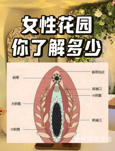 毛片免费看，女性视角下的性文化探索
