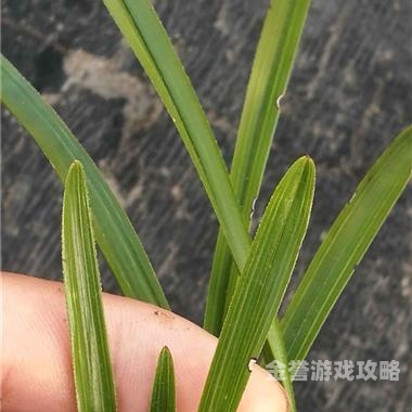 国产福利精品草草国产福利精品草草，品质生活，从这里开始