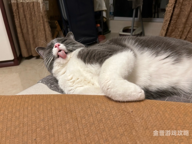 天天躁动，无码中文幕新闻资讯