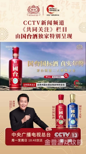 国产新闻聚焦，亚洲文化多元融合的新闻报道