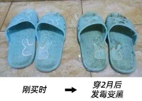 久热无码免费潘放，新闻资讯网站小编角色介绍re久久6热
