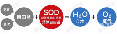 sod中文字幕无码在线观看Sod在线观看，新闻资讯网站小编的角色与职责