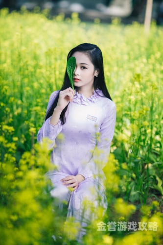 亚洲综合成人无码专区亚洲综合成人无码专区，探索多元文化下的健康与隐私保护