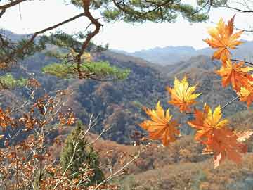 韩国风靡一时的艹逼青青99视频慈溪国产日韩