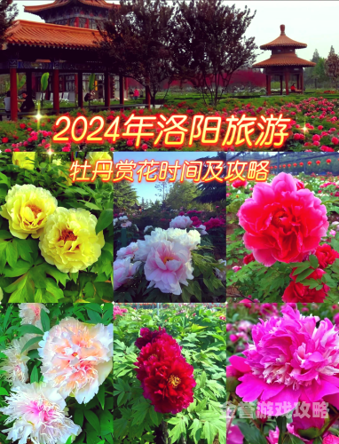 五月盛放，无码AV新篇章五月花出国社区免费视